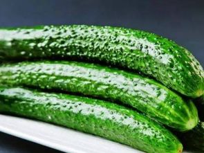 青翠之谱 常见蔬菜与苗木名录