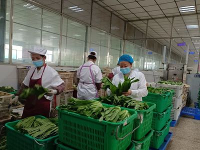 桐梓 多重守护 保障学生“舌尖上”的安全